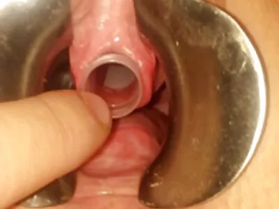 Videoclipul Ninei's Anal Adventure (Nina Rivera) filme sexi cu mature